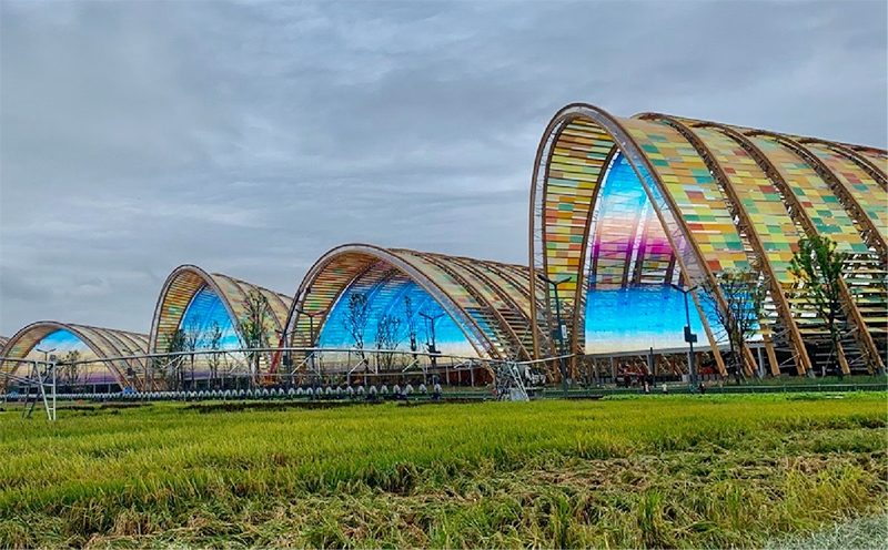 9888拉斯维加斯(中国游)官方网站